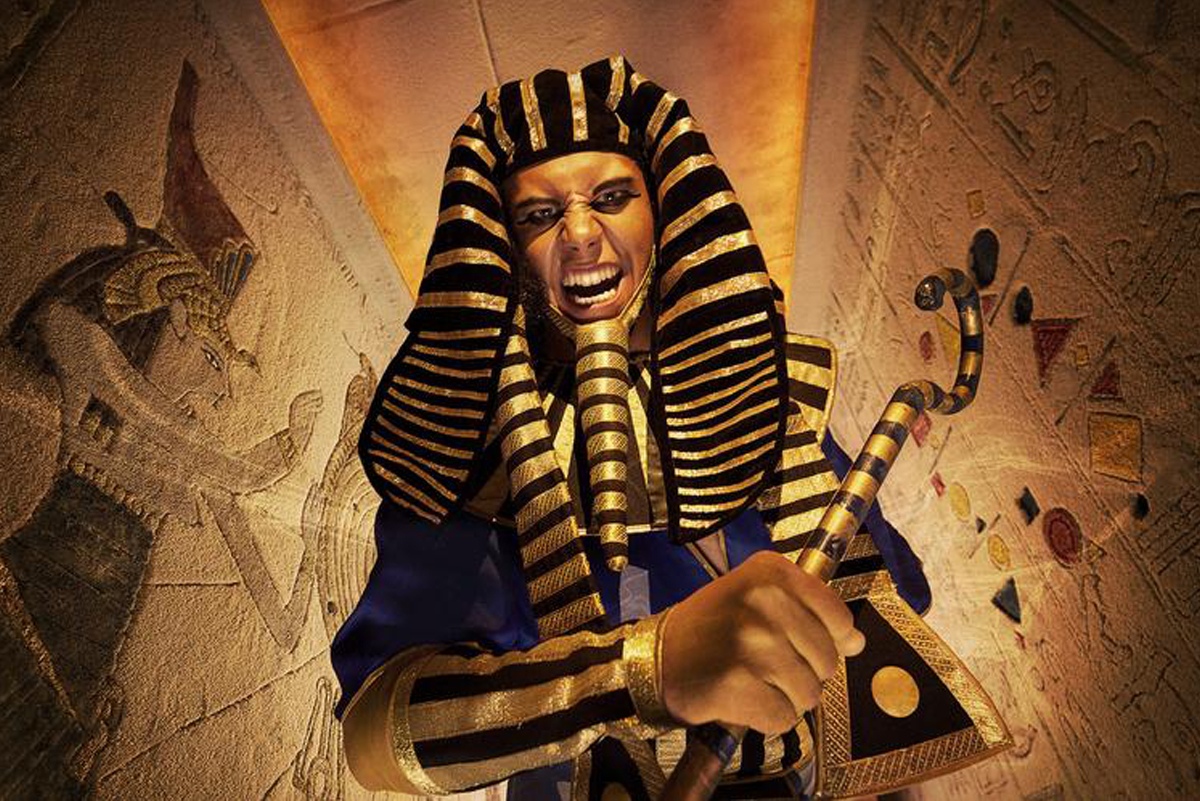 Включить фараона. Фараоны древнего Египта. Египет Тутанхамон. Египетская Эстетика фараон.